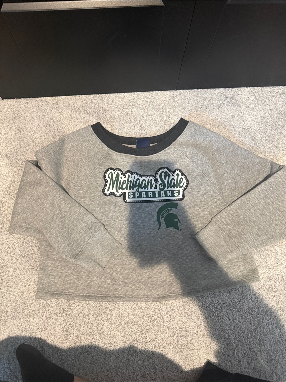 Michigan State Spartans Kids Gray Crew Sweatshirt with Green Logo